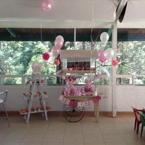  _708_https://hormiga-old:444/wp-content/uploads/2018/02/CANDYBAR-LHP-3-300x300.jpg